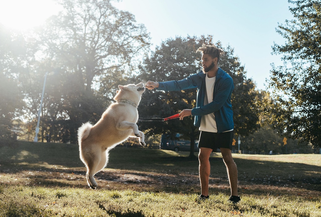 Eigenaar traint zijn hond in het park